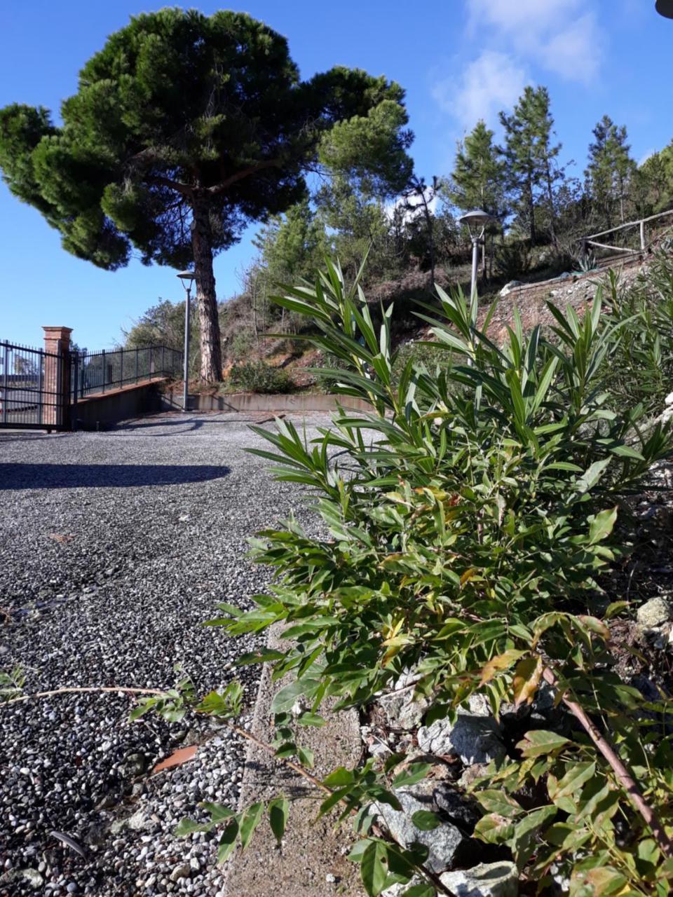La Madonetta - Dimora D'epoca - Guest house